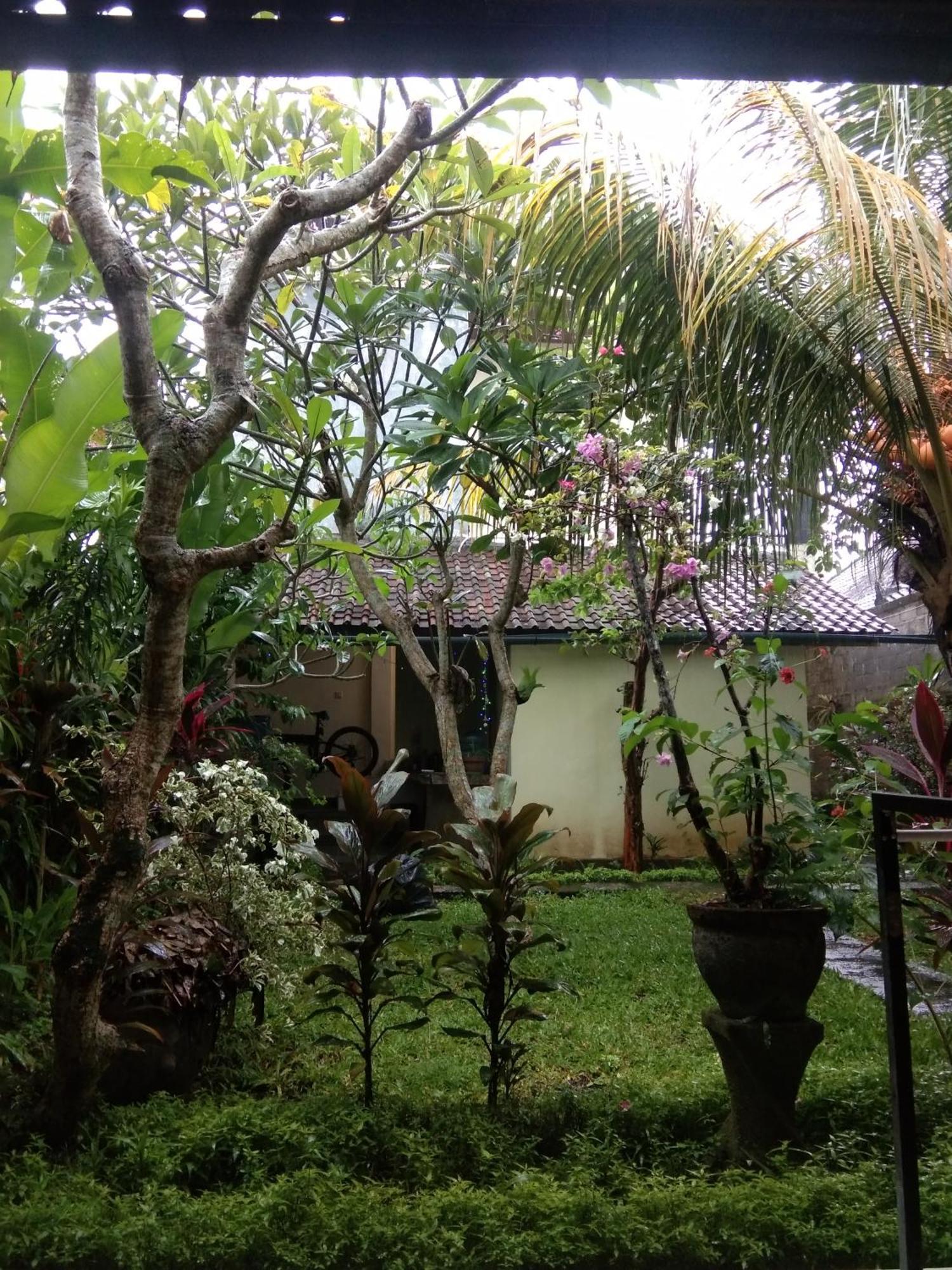 Pondok Gepokan Homestay أوبود المظهر الخارجي الصورة