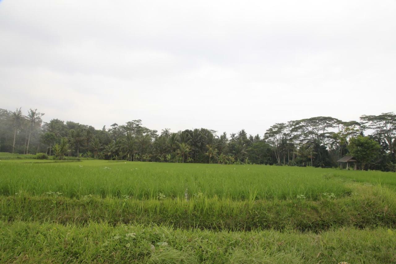 Pondok Gepokan Homestay أوبود المظهر الخارجي الصورة