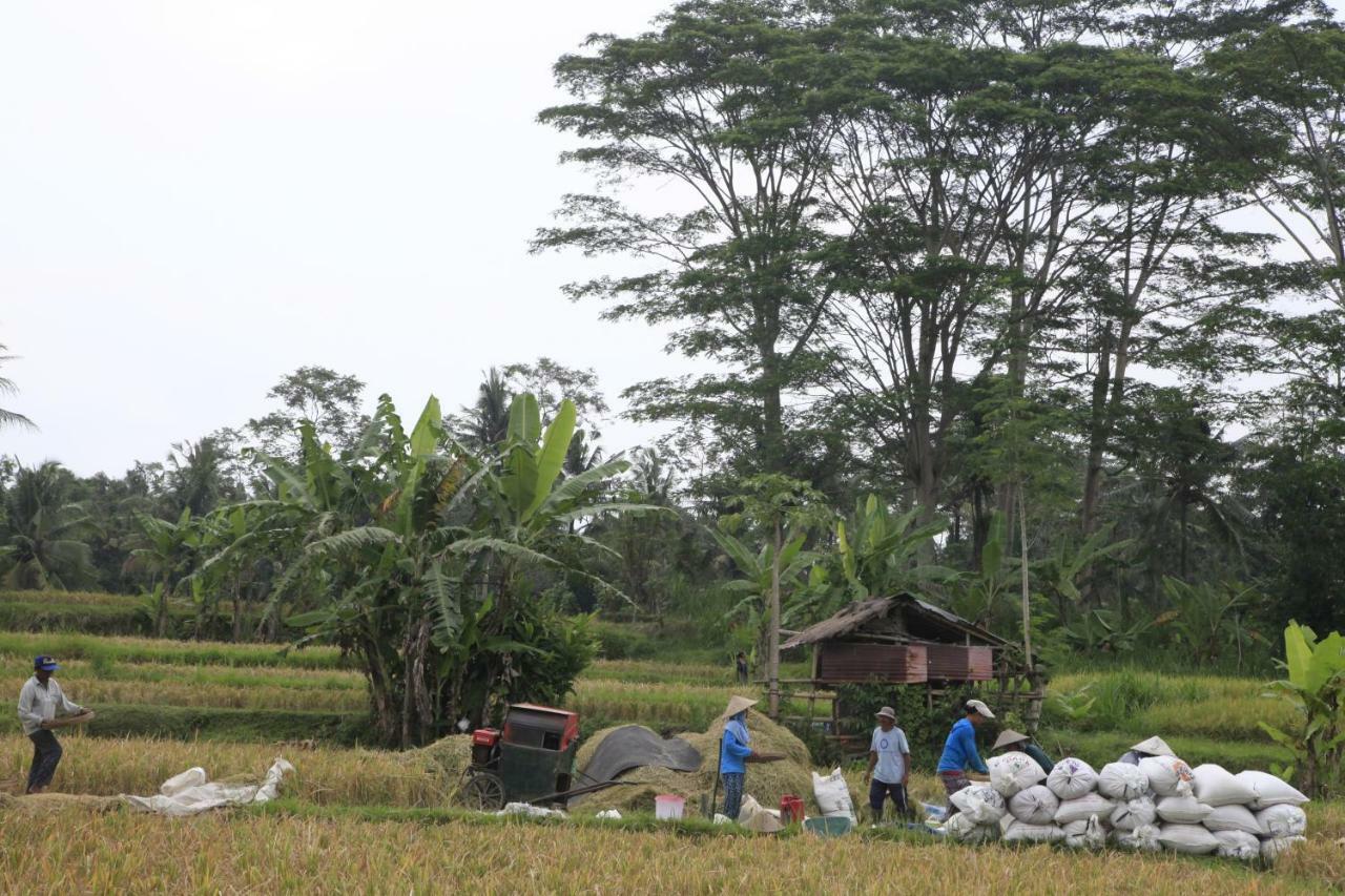 Pondok Gepokan Homestay أوبود المظهر الخارجي الصورة