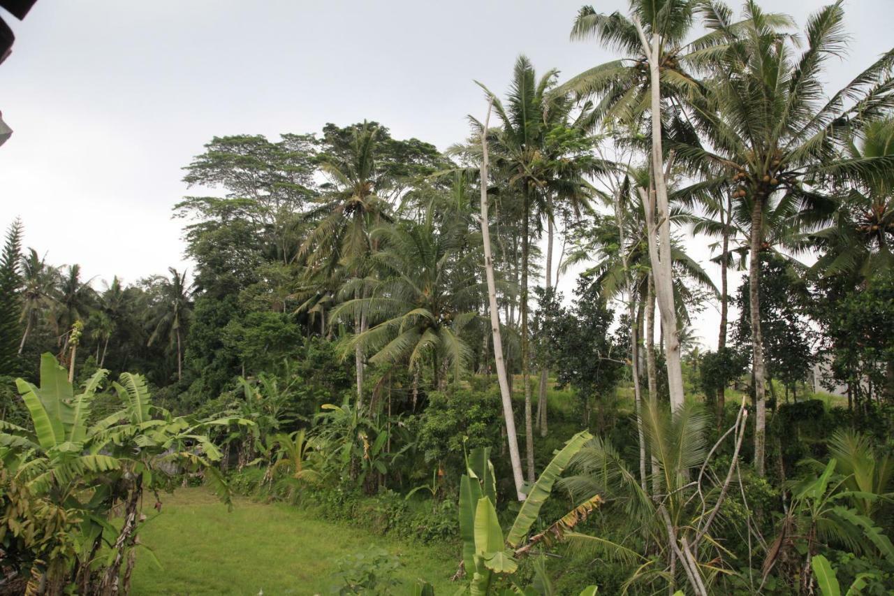 Pondok Gepokan Homestay أوبود المظهر الخارجي الصورة